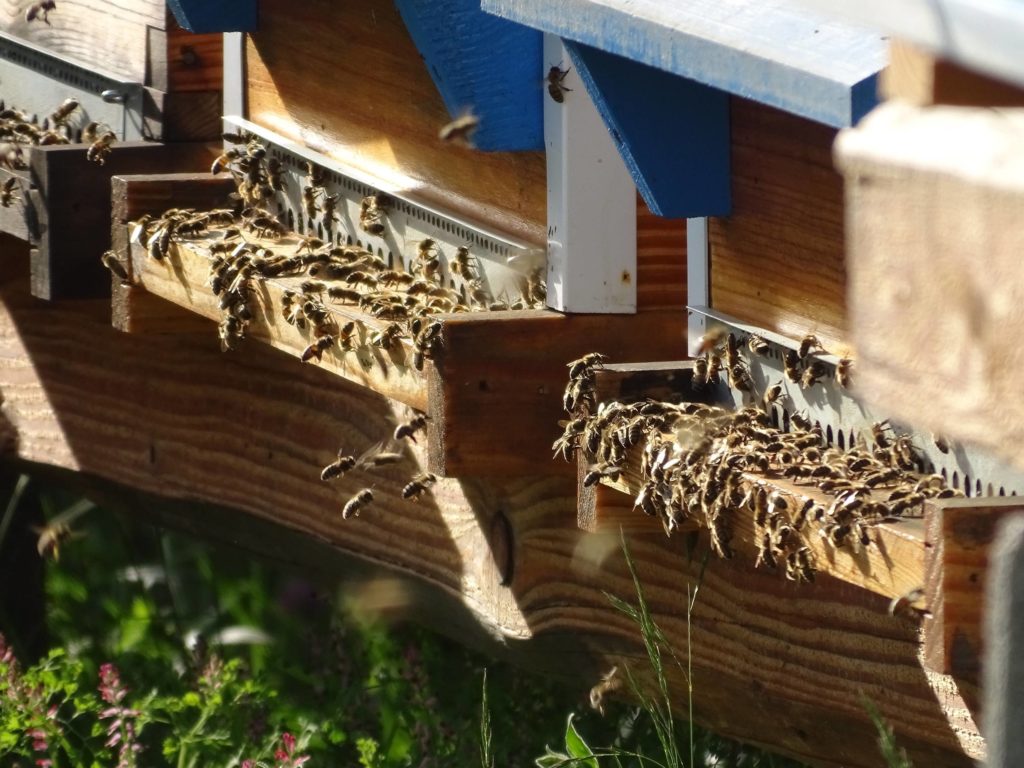 A deux c’est mieux!