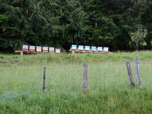 Les cigognes sont passées à Rochepaule
