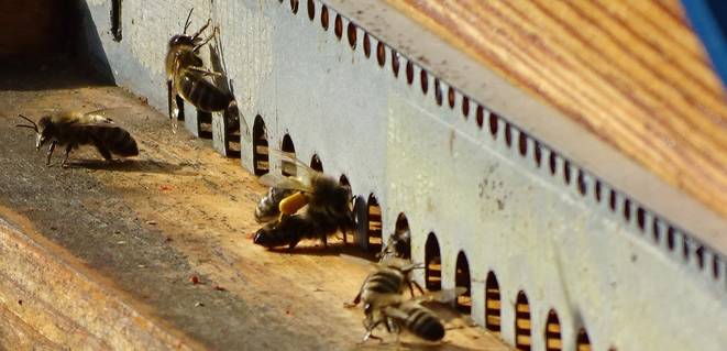 Vos questions – mes réponses: partie #1