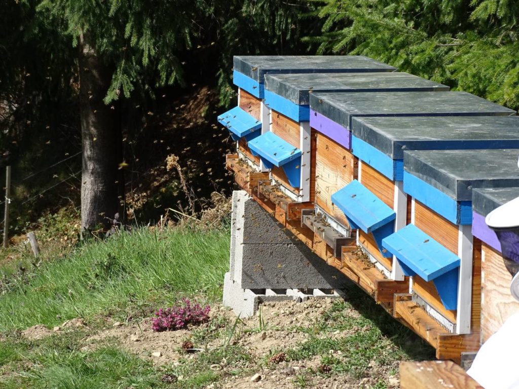 Vos questions – mes réponses: partie #1