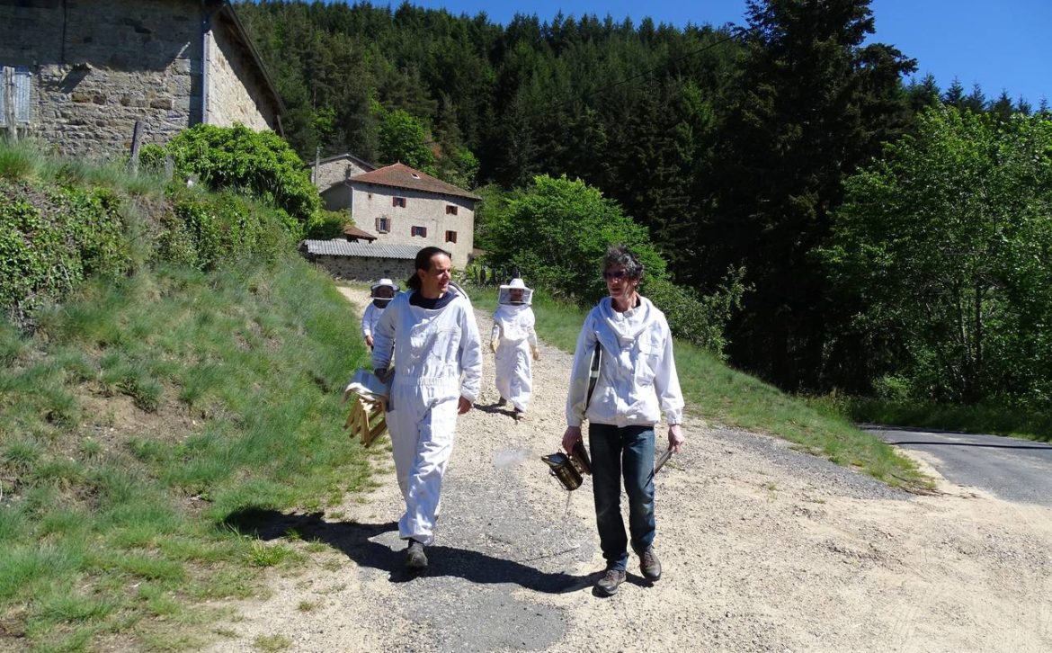 formation-apiculture-en-route-vers-le-rucher