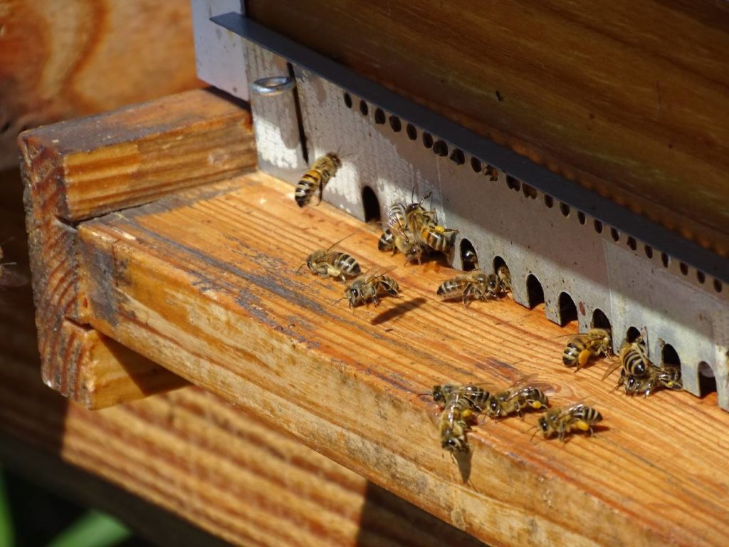 Ce que l’observation m’a appris