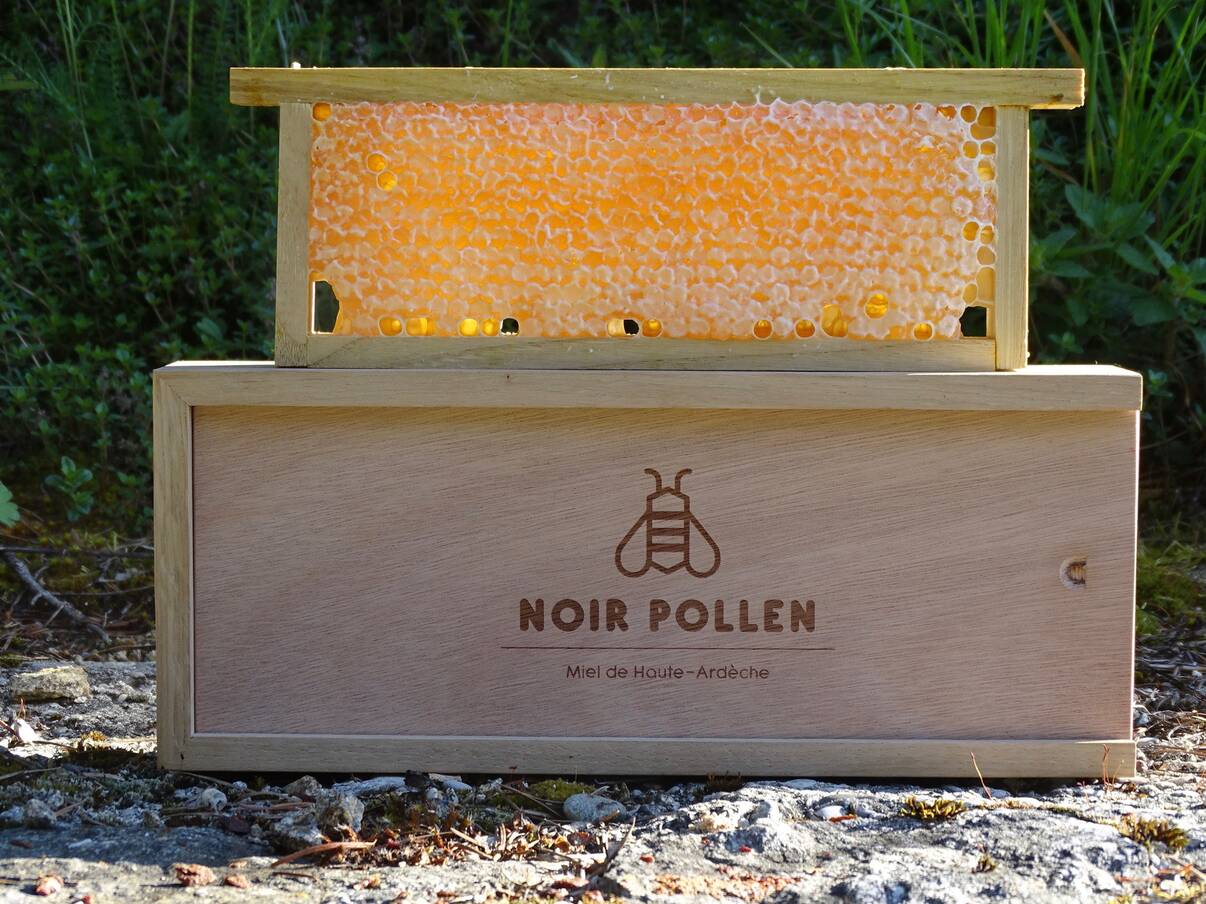 Miel en rayon - Le miel d'Ardèche pur produit par les abeilles
