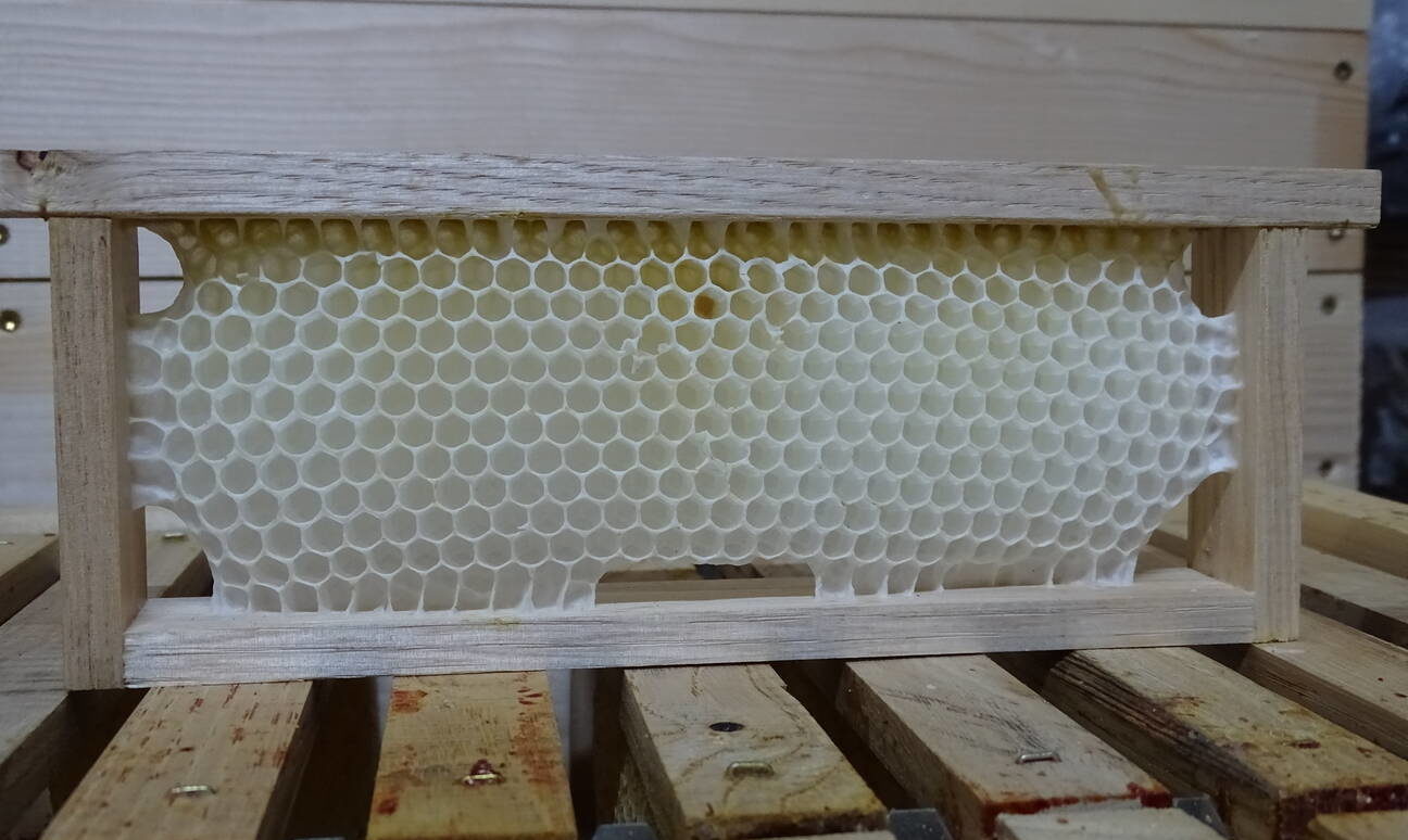 Miel Pressé à froid: un miel biologique exceptionnel.