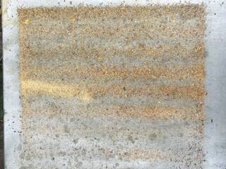 Observations sous le plancher de la ruche